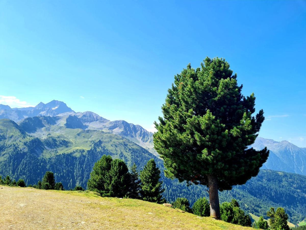 Bergnest Oetztal - Appartements Умхаузен Экстерьер фото