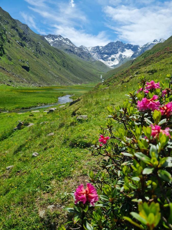 Bergnest Oetztal - Appartements Умхаузен Экстерьер фото